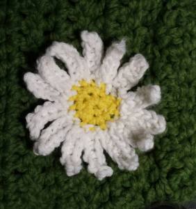 Close-up of the daisy on Daisy's sweater